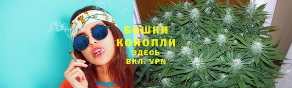 дживик Нефтекумск