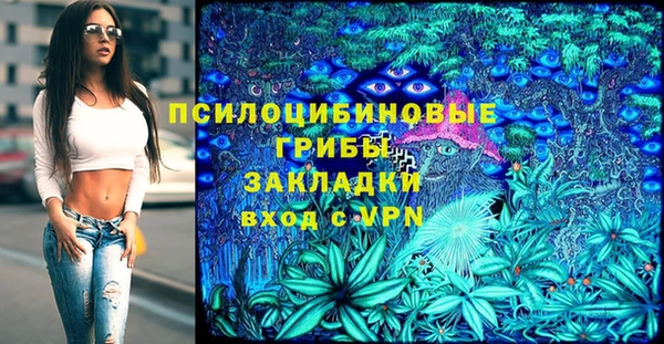 дживик Нефтекумск