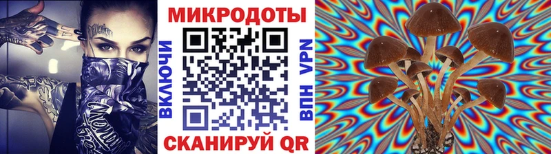 omg как войти Купино Псилоцибиновые грибы мухоморы